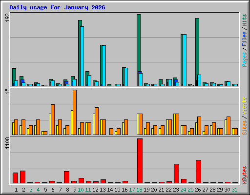 Daily usage for January 2026