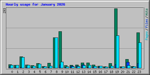 Hourly usage for January 2026