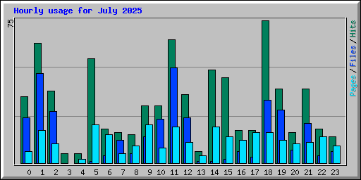 Hourly usage for July 2025