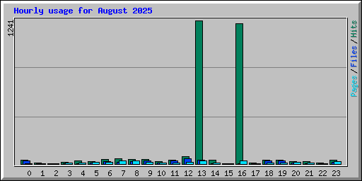 Hourly usage for August 2025