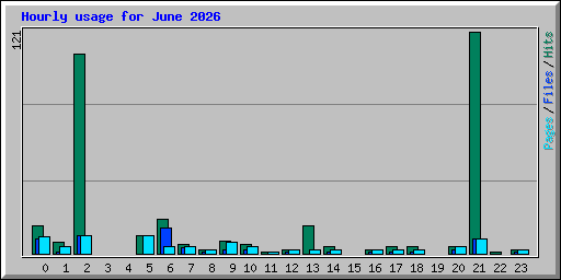 Hourly usage for June 2026